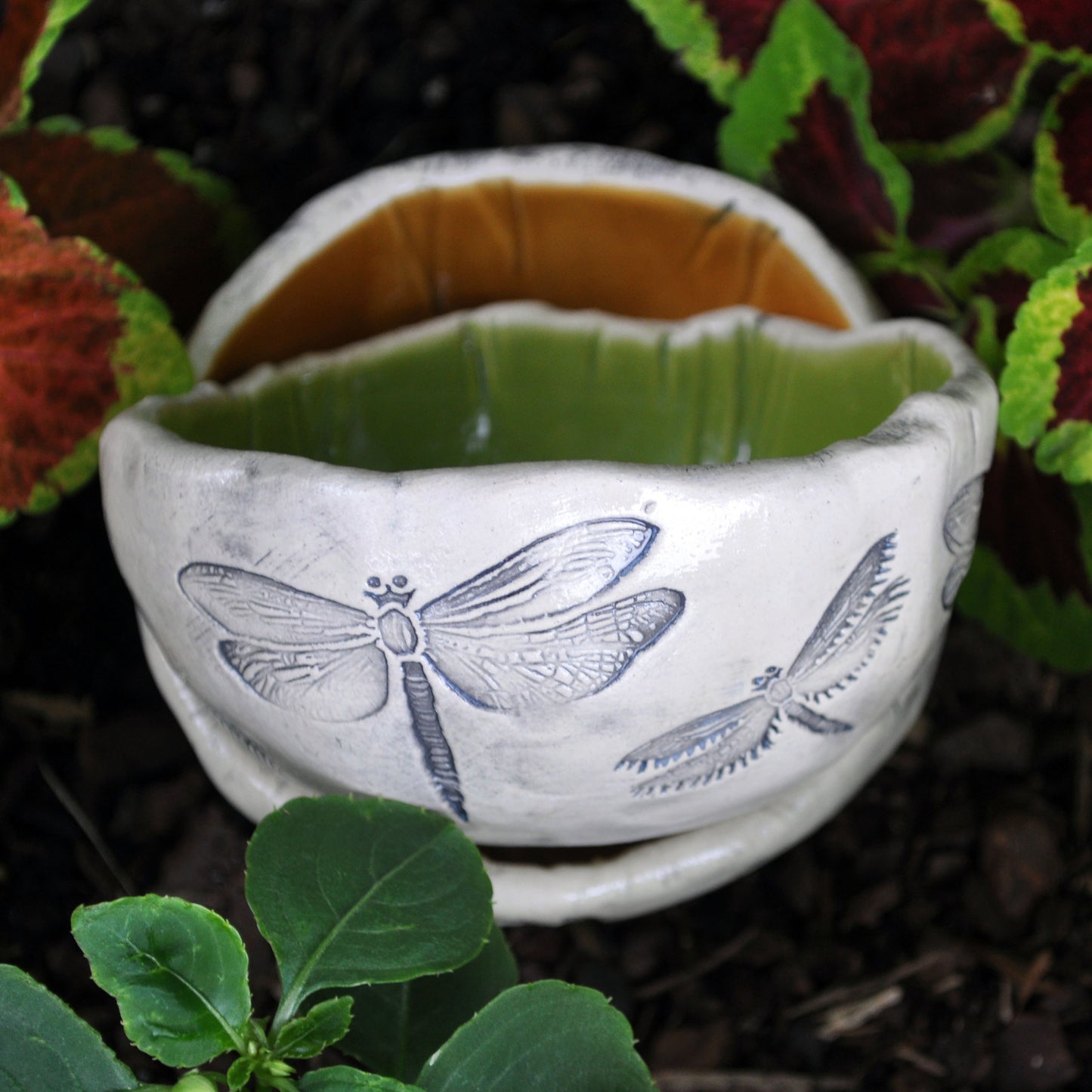 Handmade Pottery, dragonfly dish, clear glazed- no color inside, Dragonflies, USA