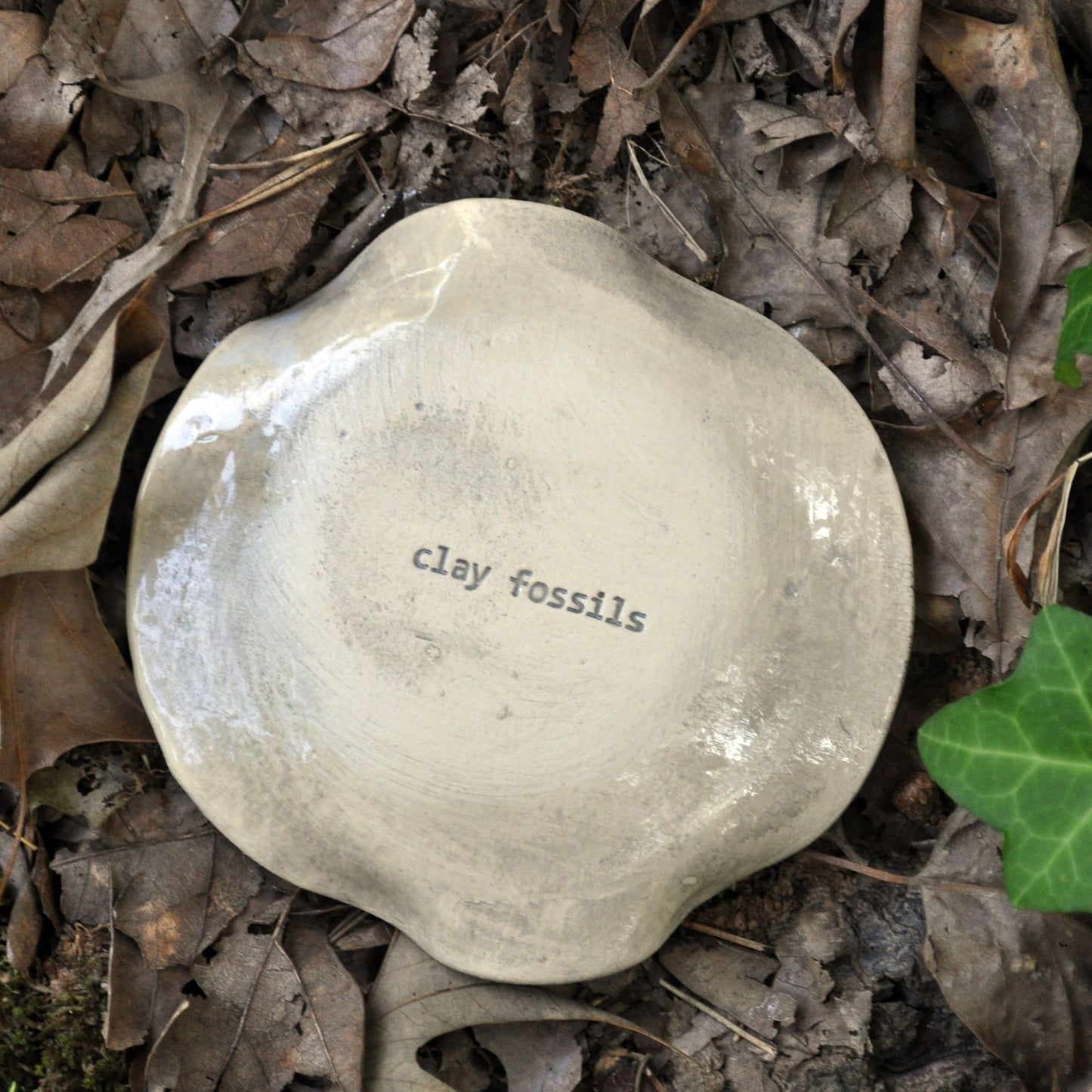 Luna Moth in Black, spoon rest, soap dish