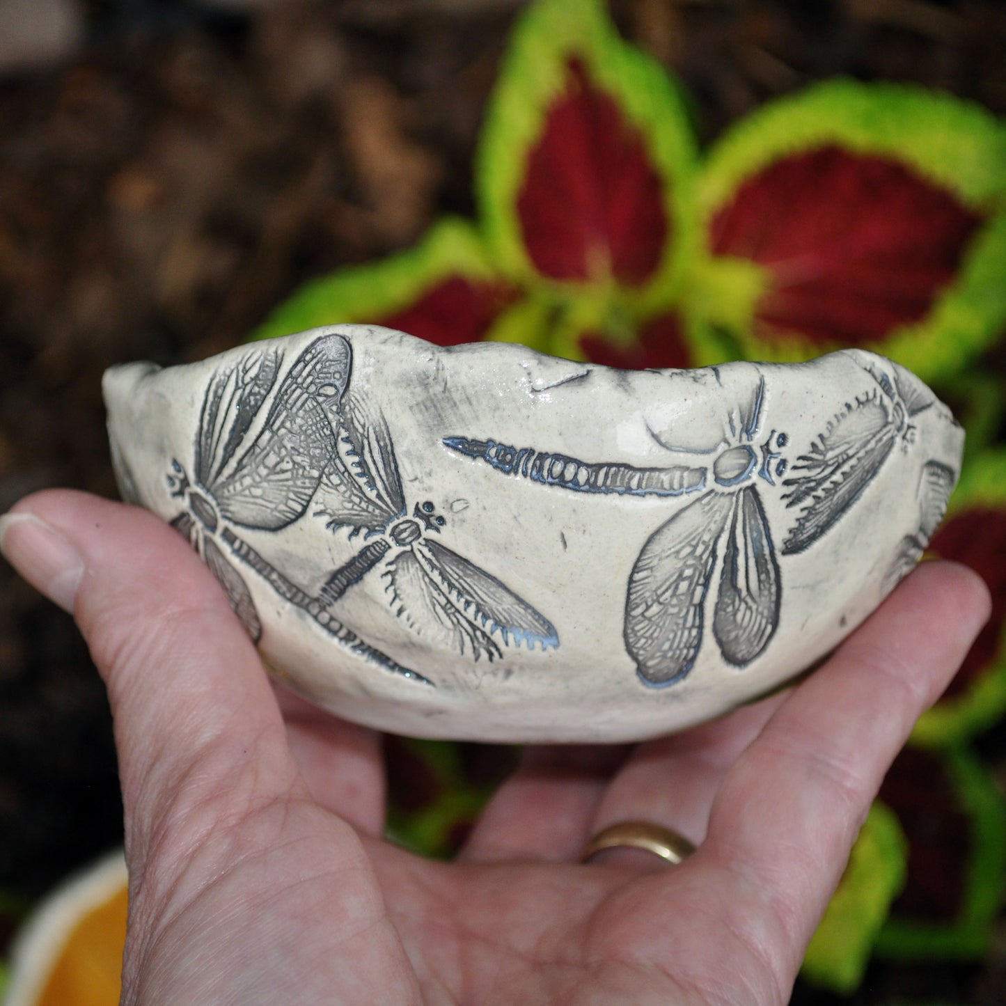 Handmade Pottery, dragonfly dish, clear glazed- no color inside, Dragonflies, USA